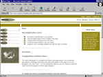 goldonwhitetemplate.jpg (5759 bytes)